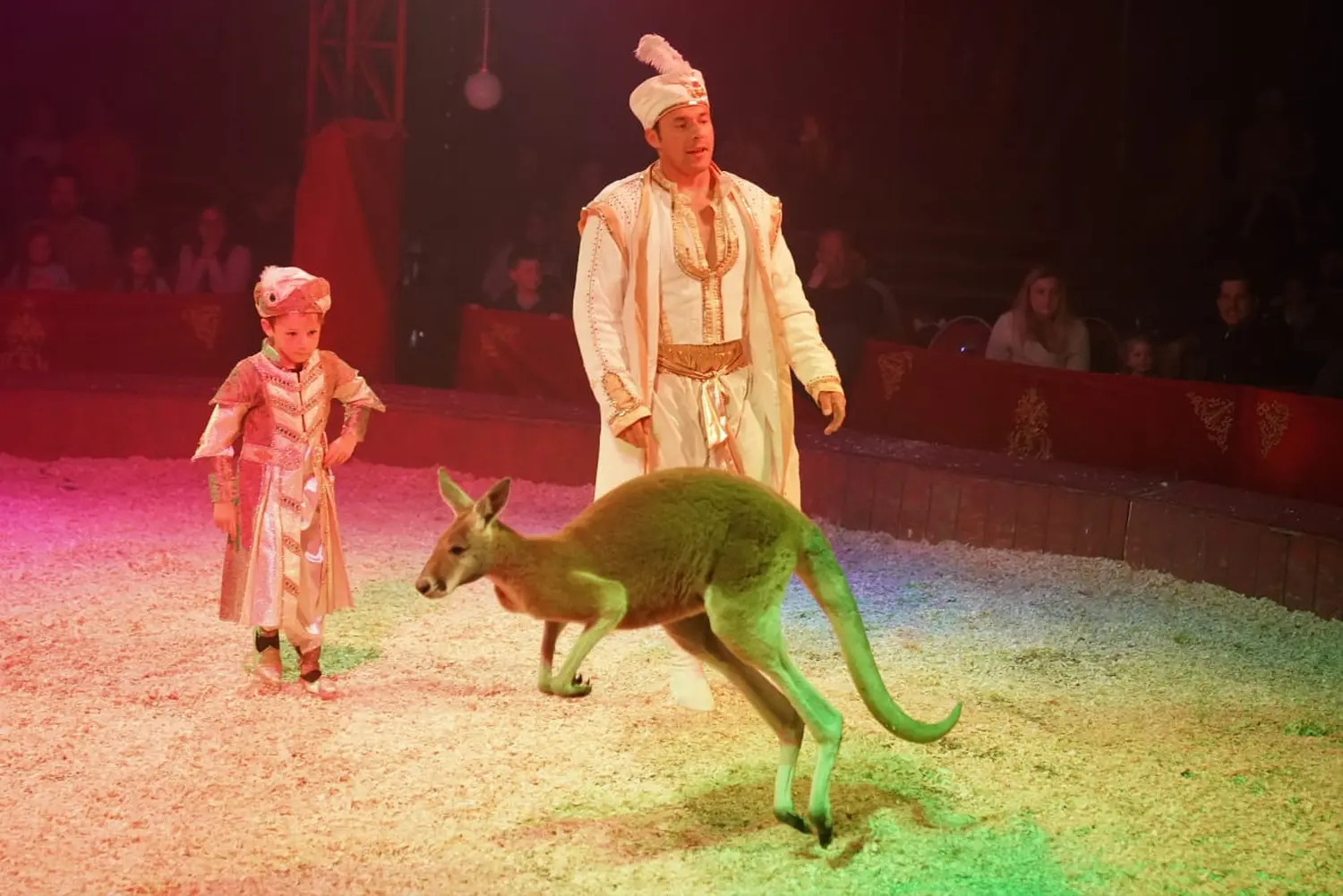 Tiere im Zirkus von Circus Alessio